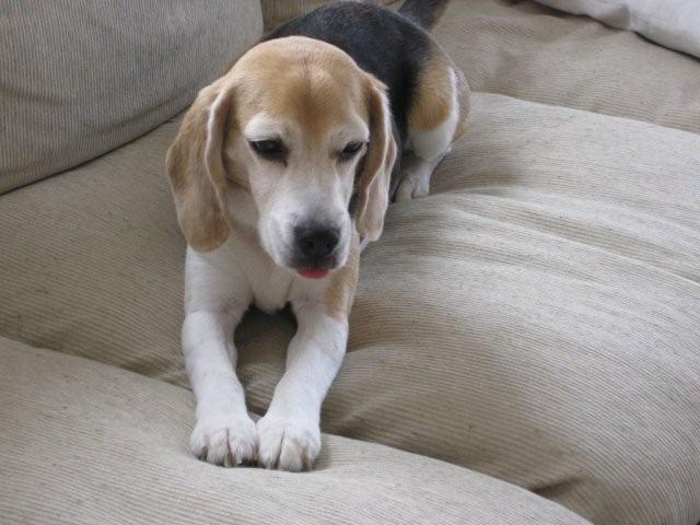 Jun.2010 002.jpg